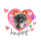 愛犬アズキ「My Love」（個別スタンプ：15）
