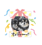 イッヌU・x・U（個別スタンプ：8）