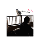 たまこだよ（個別スタンプ：6）