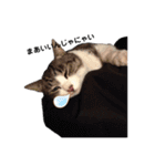 たまこだよ（個別スタンプ：8）