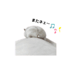 たまこだよ（個別スタンプ：24）