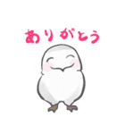 鳥さんのかわいいスタンプ（個別スタンプ：1）