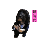 おとちゃん（いぬ）（個別スタンプ：2）