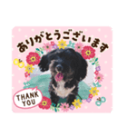 おとちゃん（いぬ）（個別スタンプ：4）
