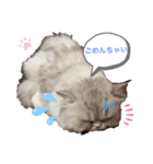 LuLuのきもち（個別スタンプ：1）