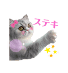 LuLuのきもち（個別スタンプ：2）
