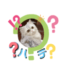 LuLuのきもち（個別スタンプ：6）