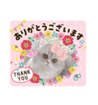 LuLuのきもち（個別スタンプ：8）