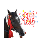YRF（個別スタンプ：4）
