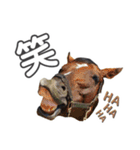 YRF（個別スタンプ：5）