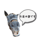 YRF（個別スタンプ：11）