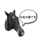 YRF（個別スタンプ：12）