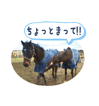 YRF（個別スタンプ：17）