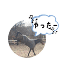 YRF（個別スタンプ：23）