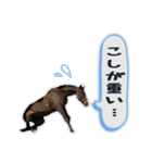 YRF（個別スタンプ：26）