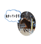 YRF（個別スタンプ：27）