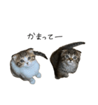 ろっことしんば（個別スタンプ：3）