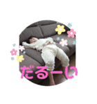 のどかのスタンプ✨5（個別スタンプ：1）