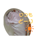 のどかのスタンプ✨5（個別スタンプ：9）