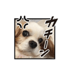 リンゴさんスタンプ パート5（個別スタンプ：3）