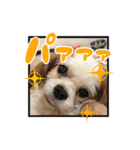 リンゴさんスタンプ パート5（個別スタンプ：18）