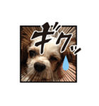 リンゴさんスタンプ パート5（個別スタンプ：25）