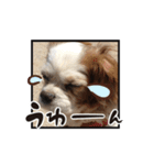リンゴさんスタンプ パート5（個別スタンプ：28）