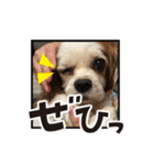 リンゴさんスタンプ パート5（個別スタンプ：30）