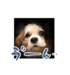 リンゴさんスタンプ パート5（個別スタンプ：32）