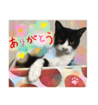 相澤家の仲間たち01（個別スタンプ：5）