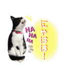 相澤家の仲間たち01（個別スタンプ：6）
