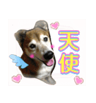 相澤家の仲間たち01（個別スタンプ：10）