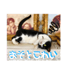 相澤家の仲間たち01（個別スタンプ：15）