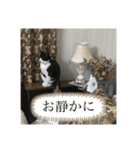 相澤家の仲間たち01（個別スタンプ：23）