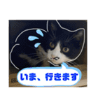 相澤家の仲間たち01（個別スタンプ：30）