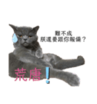ダメ猫さんオーリバー（個別スタンプ：1）