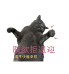 ダメ猫さんオーリバー（個別スタンプ：8）