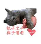 ダメ猫さんオーリバー（個別スタンプ：10）