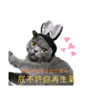 ダメ猫さんオーリバー（個別スタンプ：23）