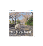 柴犬バディのスタンプ2。（個別スタンプ：14）