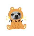 チワパピローズさんver.2（個別スタンプ：4）