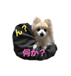 もふもふマリンちゃん2（個別スタンプ：2）