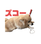 もふもふマリンちゃん2（個別スタンプ：10）