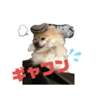 もふもふマリンちゃん2（個別スタンプ：15）