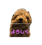 ふく君スタンプ（個別スタンプ：1）