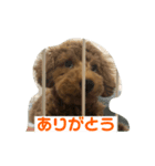 ふく君スタンプ（個別スタンプ：2）