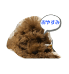 ふく君スタンプ（個別スタンプ：4）