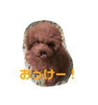 ふく君スタンプ（個別スタンプ：5）