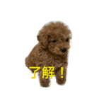 ふく君スタンプ（個別スタンプ：6）