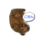 ふく君スタンプ（個別スタンプ：7）